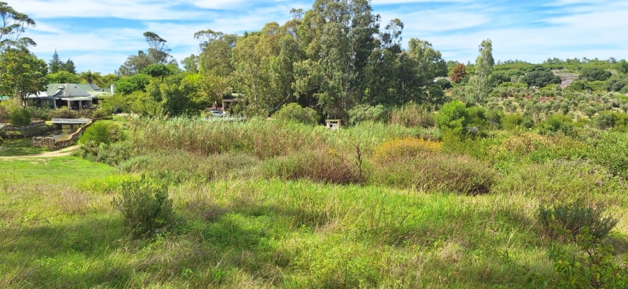 0 Bedroom Property for Sale in Stilbaai Oos Western Cape